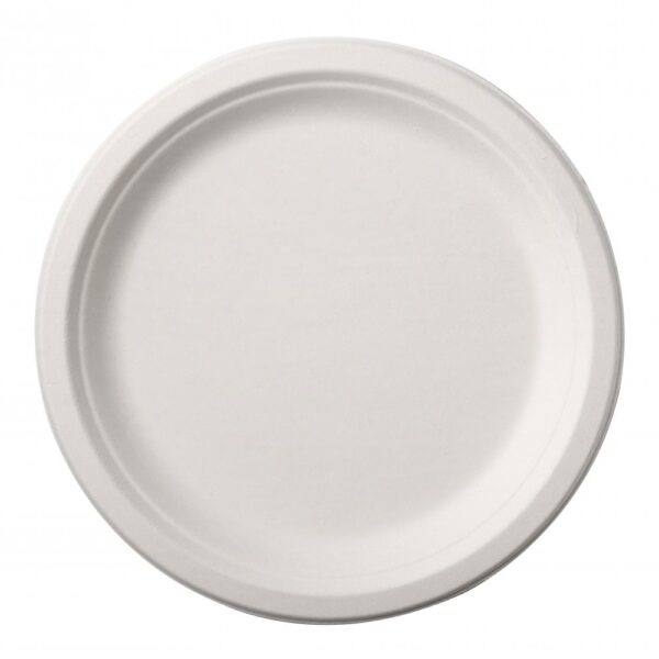 Bagasse Plates (500 pcs) - Containers For Hot/Cold/Oily Food - Eco-Friendly (7" & 9" All Sizes Available)